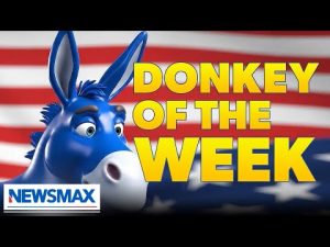 Read more about the article Donkey of the Week: AOC, Kamala, and the Jazzercise Protesters Take Center Stage | The Right Squad