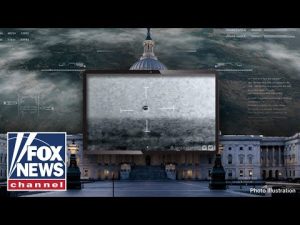 Read more about the article ‘They’re not human’: Watch government officials BREAK silence on non-human life