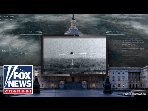 You are currently viewing ‘They’re not human’: Watch government officials BREAK silence on non-human life