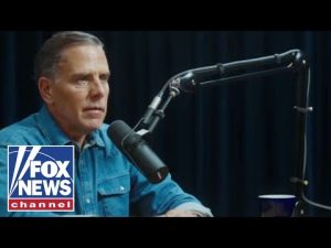 Read more about the article Hunter Biden is ‘applying the logic of his experience as a crack addict,’ columnist says