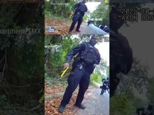 Read more about the article WATCH: Suspect RAMS patrol car, arrested after FAILED ESCAPE #foxnews #news #us #fox