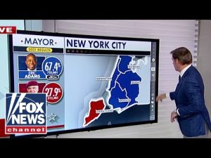 Read more about the article Bill Hemmer: The turnout in this race is FASCINATING