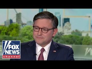 Read more about the article Speaker Johnson: Dems got NOTHING out of this!