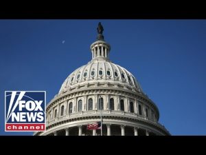 Read more about the article The shutdown didn’t accomplish much for Democrats, expert says