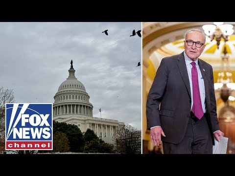 Read more about the article ‘There are no winners’: The aftermath of America’s longest government shutdown