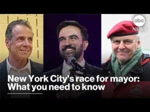 Read more about the article New York City’s race for mayor: What you need to know