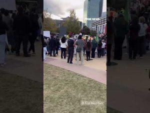 Read more about the article WATCH: Anti-ICE protesters rally in Charlotte #foxnews #news #shorts #politics