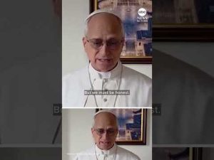 Read more about the article Pope Leo calls for climate action, says God’s creation is ‘crying out’