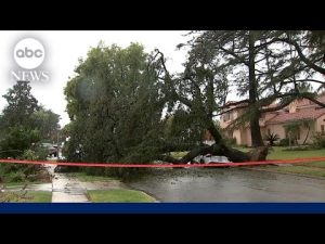 Read more about the article At least 3 killed in California as new round of storms slam the region