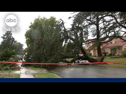 Read more about the article At least 3 killed in California as new round of storms slam the region