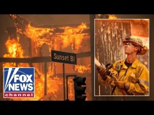 Read more about the article ‘Not one home rebuilt’: Palisades fire survivor shares frustration