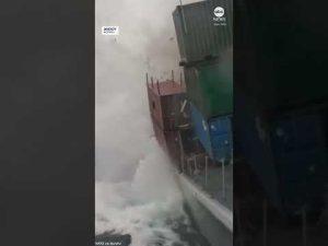 Read more about the article NATO submarine torpedoes frigate during military exercise