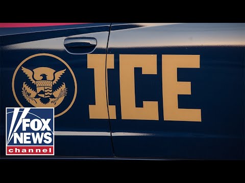 Read more about the article ICE makes SHOCKING arrest of migrant trucker wanted for terrorism