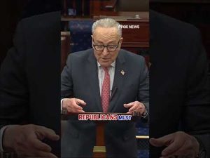 Read more about the article Schumer: The Senate should move without delay to pass Epstein bill #shorts #usa #us #politics