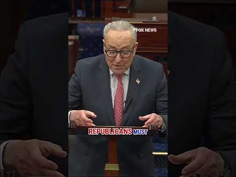 You are currently viewing Schumer: The Senate should move without delay to pass Epstein bill #shorts #usa #us #politics