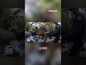 Read more about the article MONSTROUS ACT: Wanted man throws dog at law enforcement while trying to avoid arrest #shorts #news