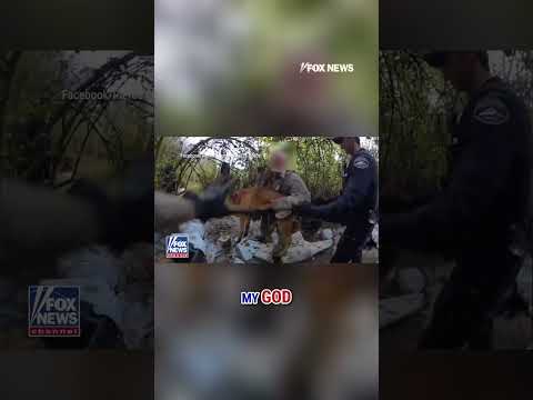 Read more about the article MONSTROUS ACT: Wanted man throws dog at law enforcement while trying to avoid arrest #shorts #news