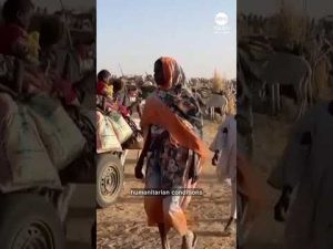 Read more about the article Famine has spread to two regions of war-torn Sudan