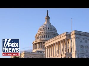 Read more about the article WATCH LIVE: Senate hearing on Democrats’ war on immigration enforcement