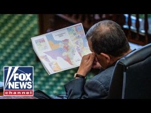 Read more about the article Trump-appointed judge BLOCKS red state redistricting map