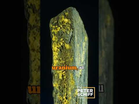 Read more about the article Why I Expect a Major Rotation Into Real Assets