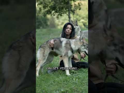 Read more about the article Crazy actor transformation…