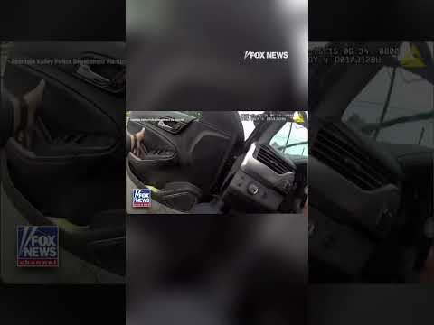 Read more about the article ‘GET BACK!’: DUI suspect’s police pursuit ends dramatically #shorts #foxnews #news #us