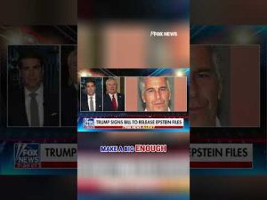 Read more about the article BREAKING: Epstein files to go public as Trump signs law releasing all records #shorts #us #news