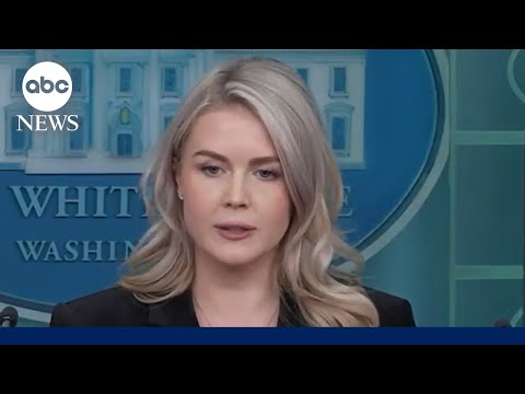 You are currently viewing Karoline Leavitt defends Trump calling Democrats ‘traitors’