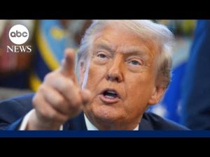 Read more about the article ‘No’ Trump doesn’t want to execute members of Congress: Leavitt