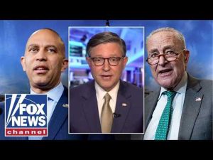 Read more about the article Mike Johnson: Most STAGGERING level of ‘gaslighting’ we’ve seen