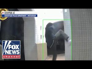 Read more about the article Teens ‘terrorizing’ homeowners with new viral challenge