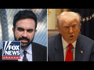 Read more about the article Mamdani is a ‘gift’ for Trump, WJS editor-at-large argues