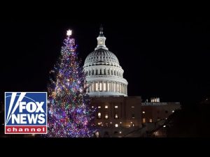 Read more about the article WATCH: 2025 US Capitol Christmas Tree arrives at Joint Base Andrews on its way to DC