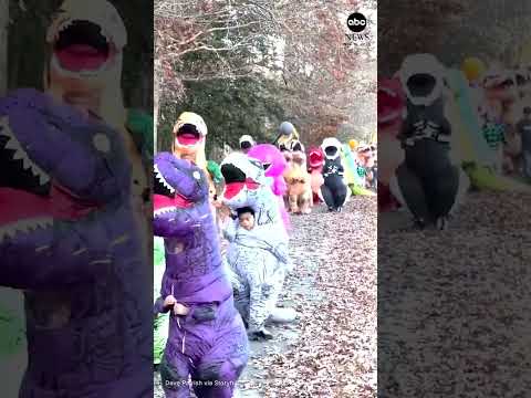 Read more about the article These jurassic joggers race in annual T-rex run in Virginia