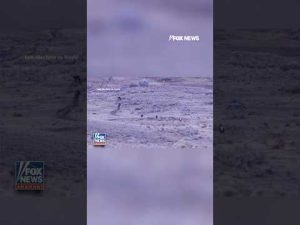 Read more about the article WILD ENCOUNTER: Man cited after video shows him appearing to approach a pack of wolves #shorts