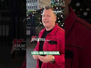 Read more about the article Festive or felony?: Dogs in costumes #shorts #foxnews #us #news