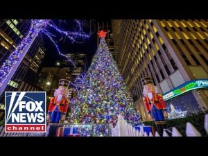Read more about the article WATCH LIVE: Fox News’ All-American Christmas tree