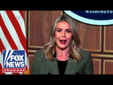 You are currently viewing Leavitt reveals what went down behind closed doors of Trump-Mamdani meeting