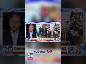Read more about the article Today’s meeting was ‘horrifying’ for Democrats, Sean Hannity says #shorts #news #us #fox