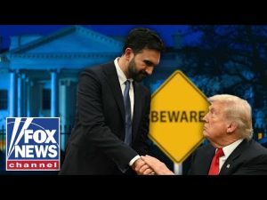 Read more about the article ‘BEWARE OF MAMDANI’: Critics sound the alarm after ‘seemingly civil’ Trump-Mamdani meeting