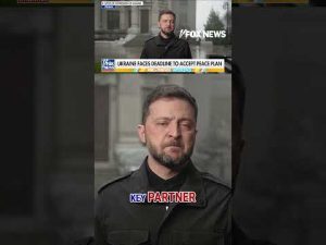 Read more about the article ‘DIFFICULT DECISION’: Zelenskyy voices concern over Trump’s peace deal with Russia #foxnews #us #fox