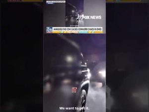 Read more about the article ‘GET MOO-VING’: Runaway cow causes two-hour traffic jam #foxnews #news #us #fox