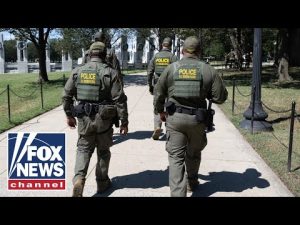 Read more about the article Border Patrol chief SOUNDS OFF on ‘blatant lies’ about federal agents