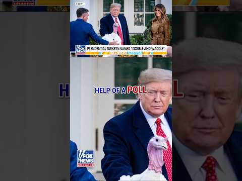 Read more about the article Trump, first lady reveal names of pardoned national Thanksgiving turkeys #foxnews #news #shorts