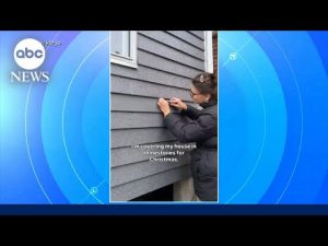 Read more about the article ‘Huge to-do list’: Woman covers her house in rhinestones