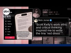Read more about the article How Scott Kelly’s resume at Jonas Brothers concert went viral on TikTok