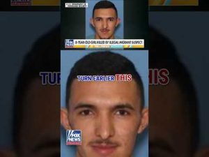 Read more about the article DETAILS: Illegal migrant CHARGED in hit-and-run death of young girl #foxnews #news #shorts