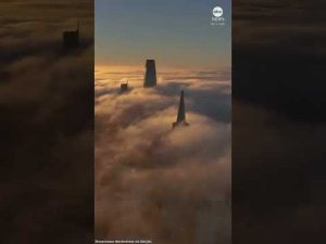 Read more about the article Arial footage shows San Francisco cloaked in fog