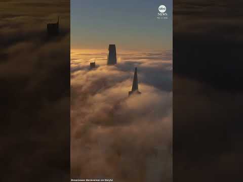 You are currently viewing Arial footage shows San Francisco cloaked in fog